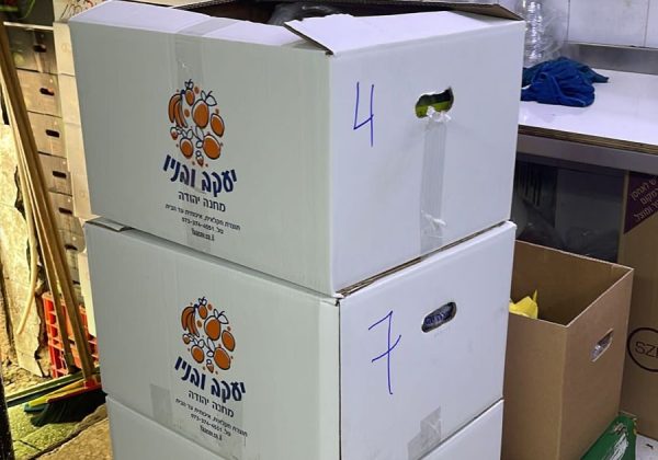 פתרונות אמינים לשליחת מוצרים לכל יעד